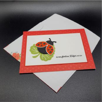 LE Karte zum Geburtstag, Marienk&auml;fer