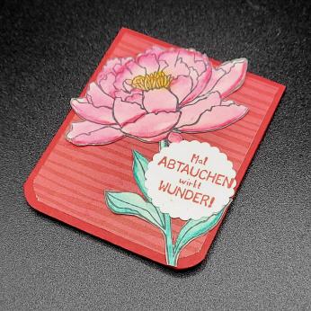 Lesezeichen Abtauchen, Chili